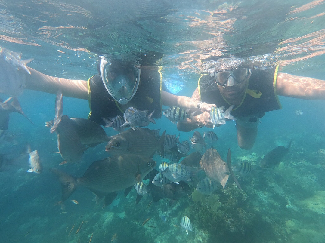 Snorkeling Tour Varadero景点图片
