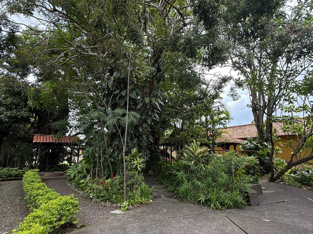 National Museum Of Costa Rica景点图片