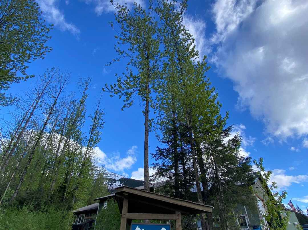 Girdwood Brewing Company景点图片