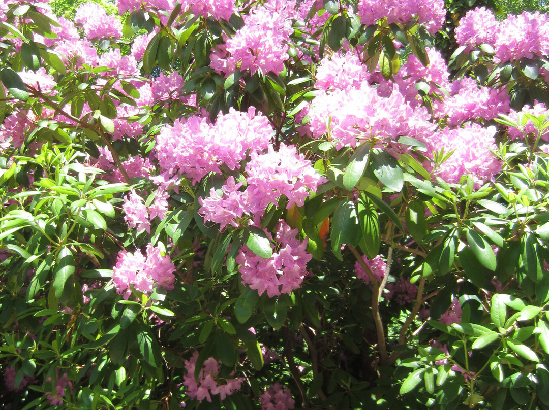 Brewster Gardens-普利茅斯必去景点