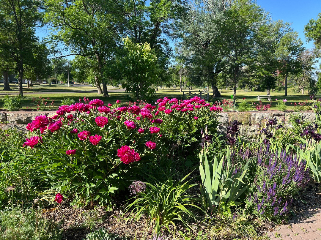 Gibson Park-大瀑布市必去景点
