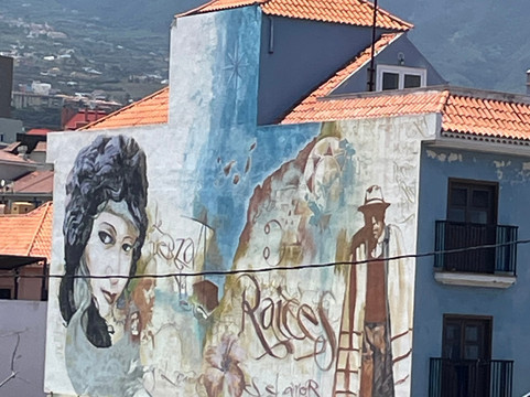 Bee Hive Pub-德拉克鲁兹索尔港必去景点