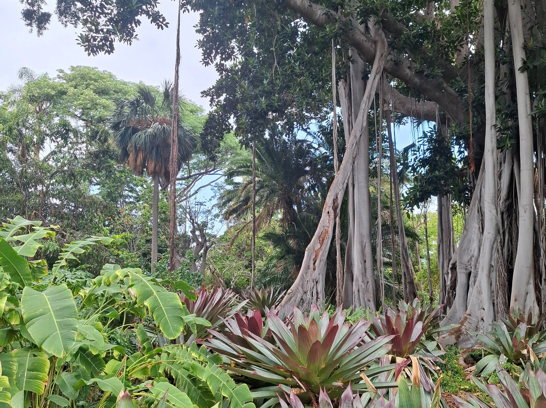 Botanischer Garten景点图片