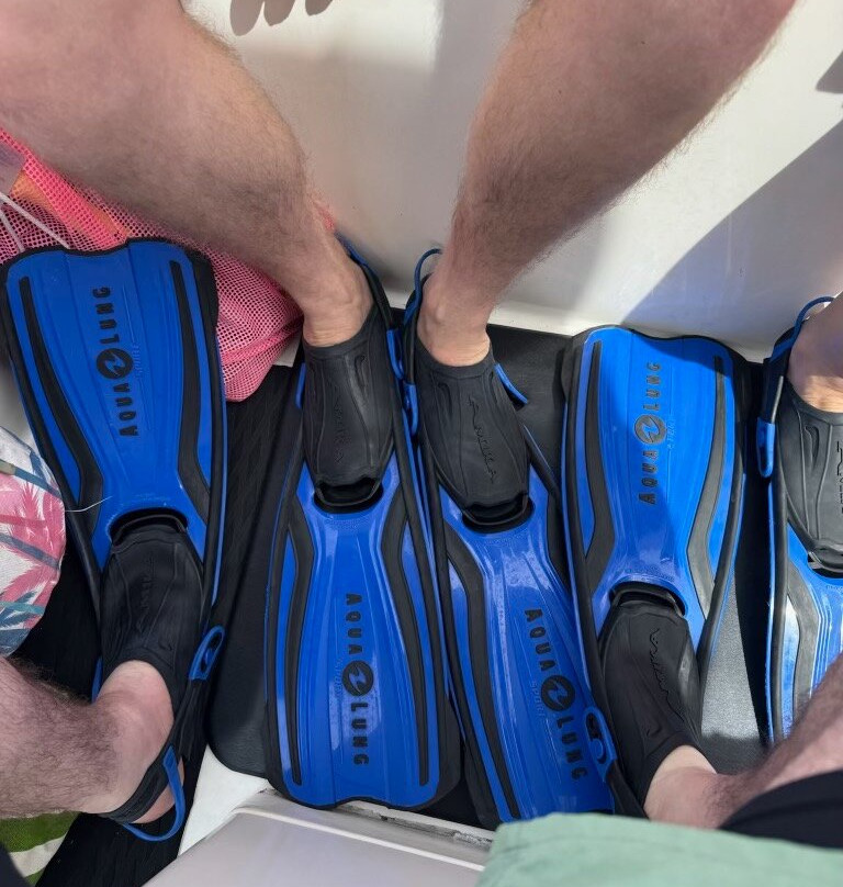 Da Whale Boat: Big Island Humpback Adventures-卡威哈也必去景点