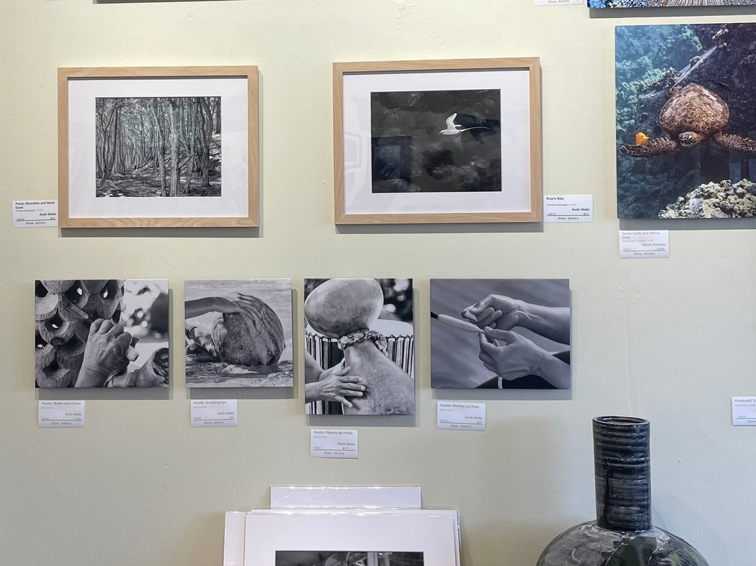 Olena Gallery景点图片