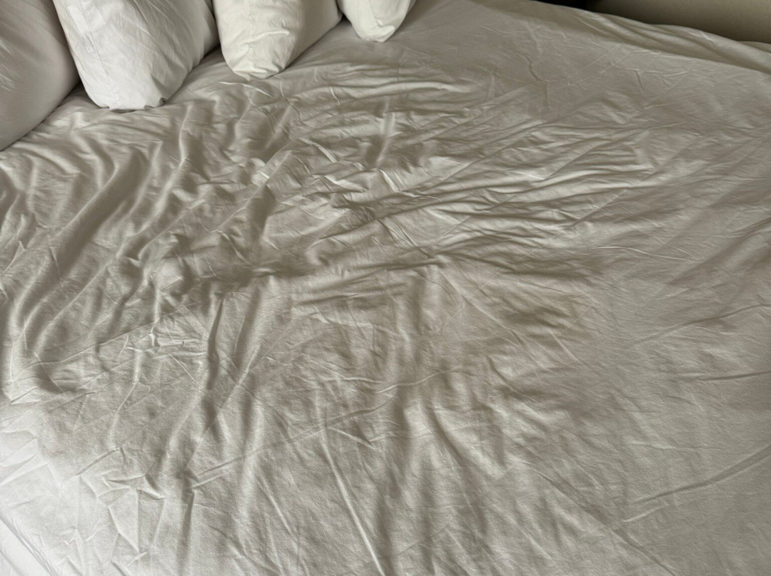 Baymont by Wyndham Chelsea主图