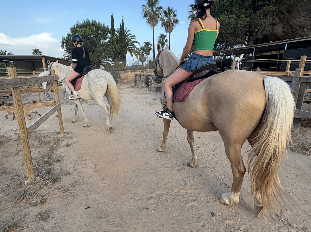 Clube Equestre A Palmeirinha-Almancil必去景点