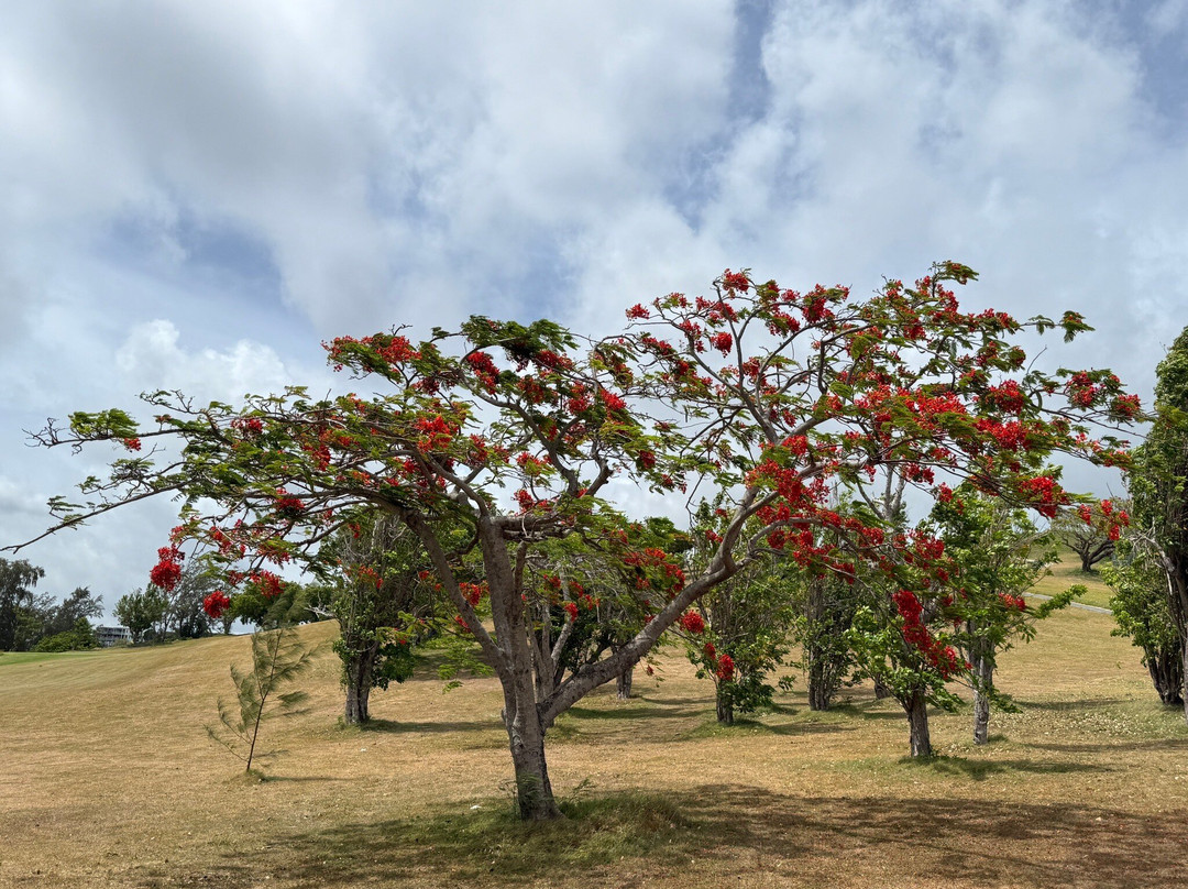 Cedar Valley Golf Club-圣 约翰必去景点