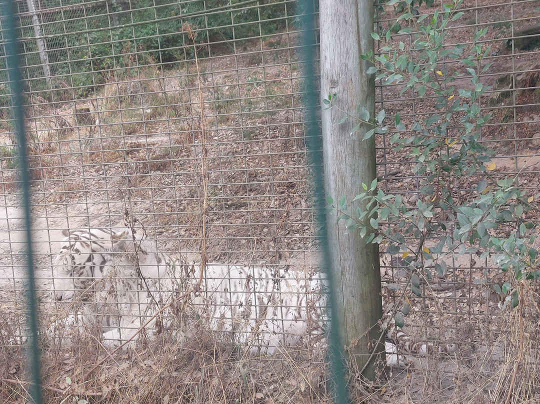 Europaradise-Montemor-o-Velho必去景点