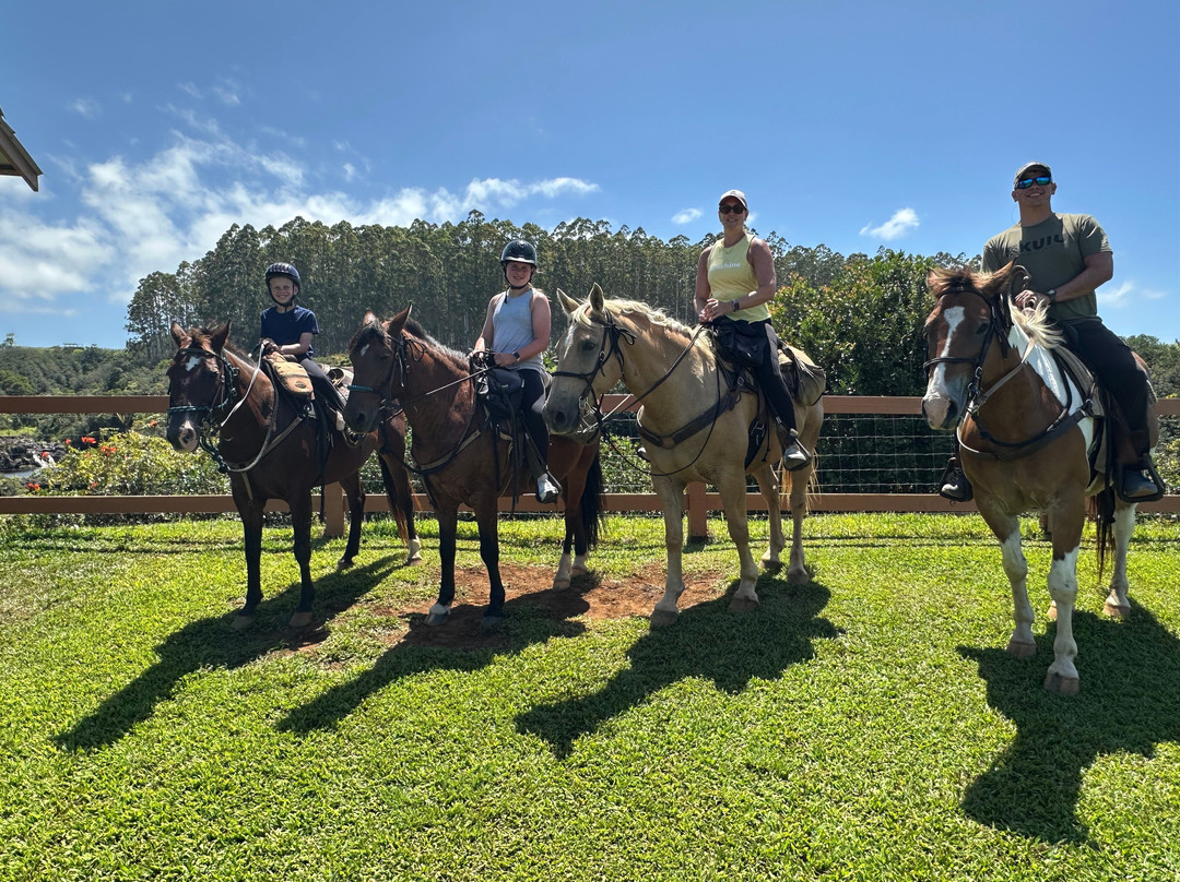 威庇欧岭马厩-夏威夷大岛必去景点