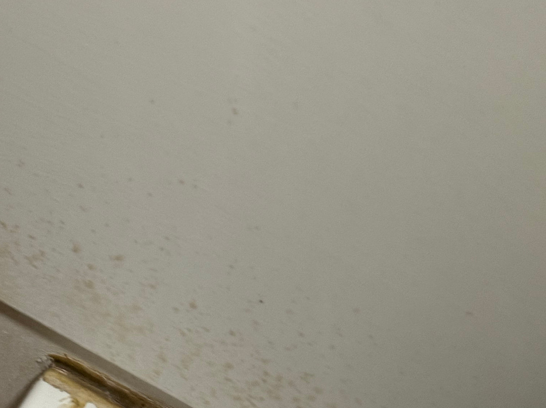 Wonder World Soft Play Falkirk-福尔柯克必去景点