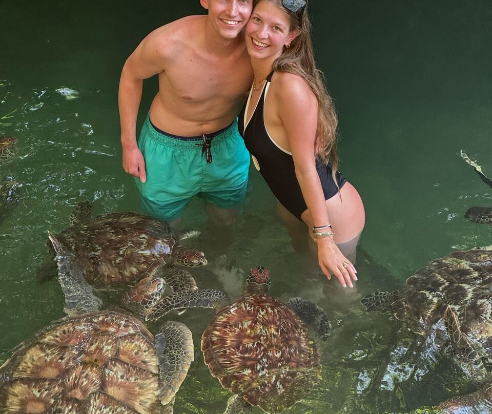 Zanzibar tours by Juma-Matemwe必去景点