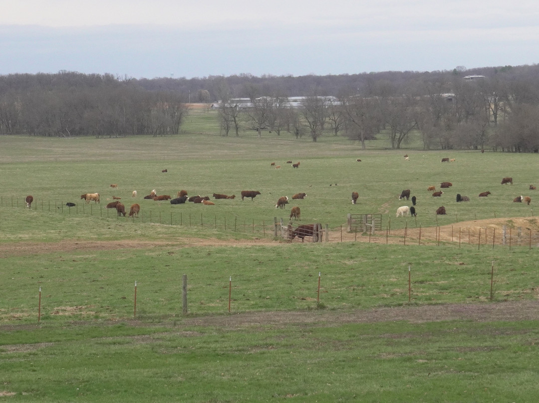 Prairie Grove Battlefield State Park-Prairie Grove必去景点