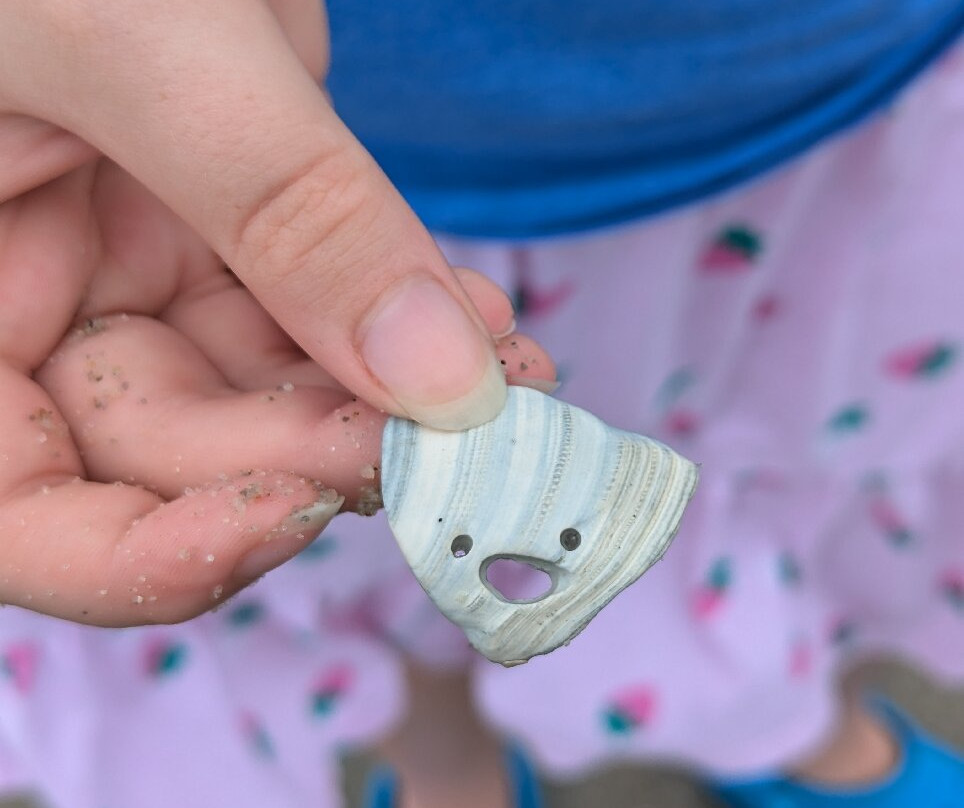 Flag Ponds Nature Park-Lusby必去景点