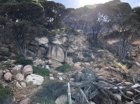Bunker Bay-Cape Naturaliste必去景点