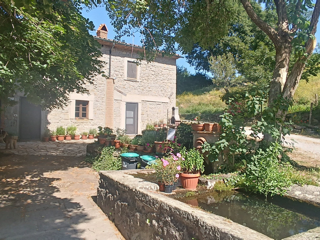 Agriturismo Podere Asche主图