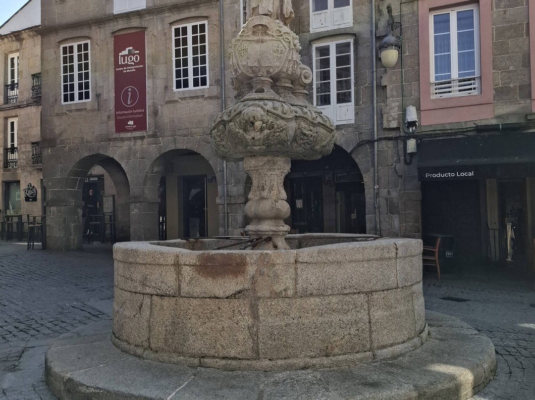 Fuente de San Vicente-卢戈省必去景点