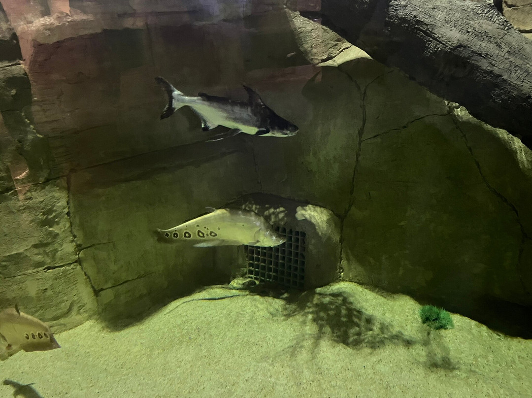 Funtastic Aquarium İzmir-伊兹密尔必去景点