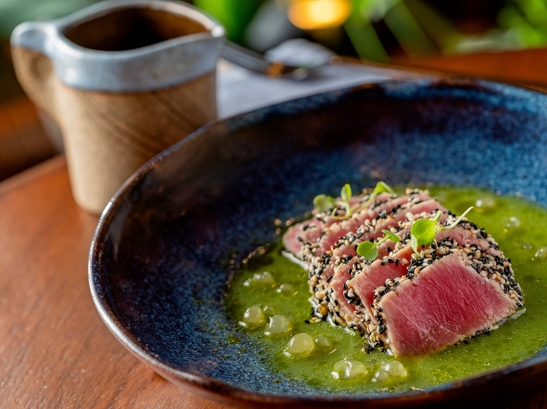Macáya Gastronomia Latino-americano