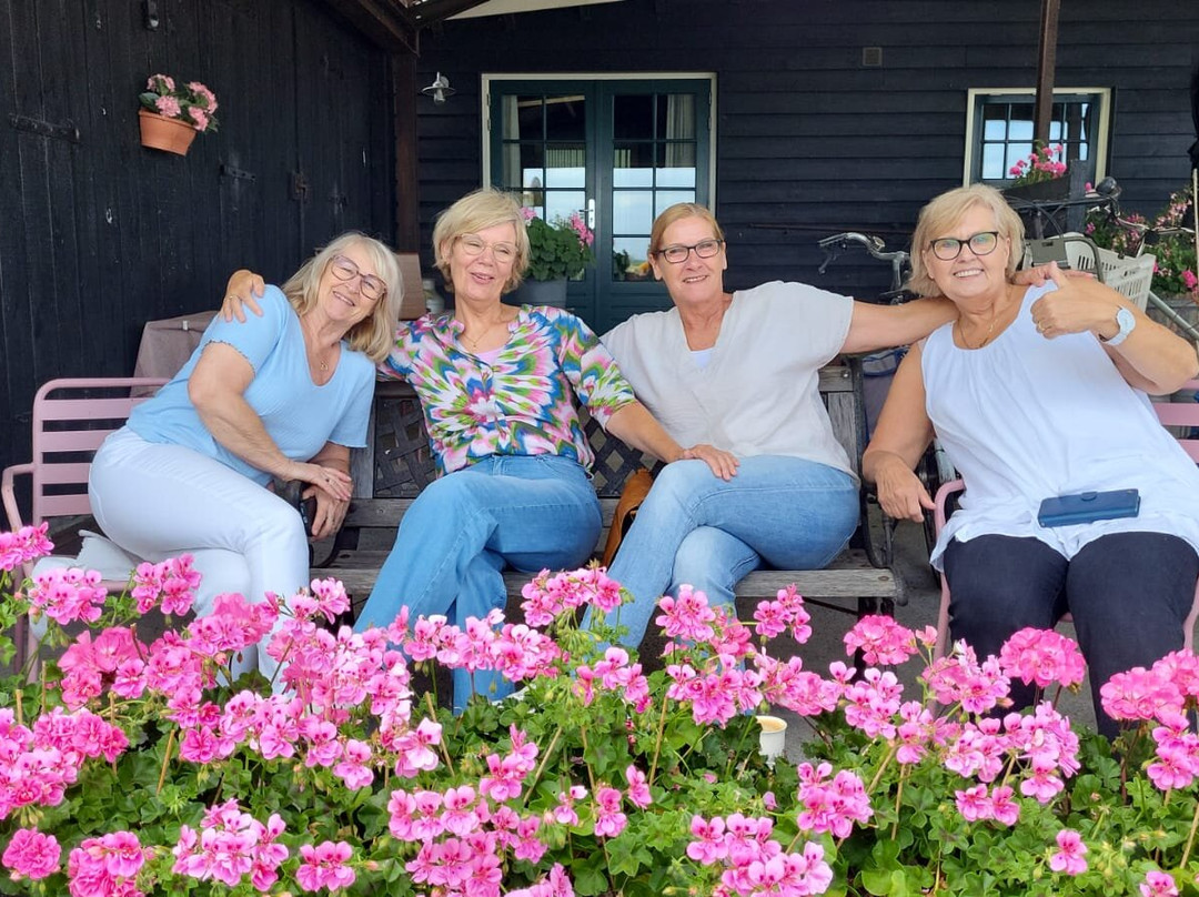 Boerderij Honswijck主图