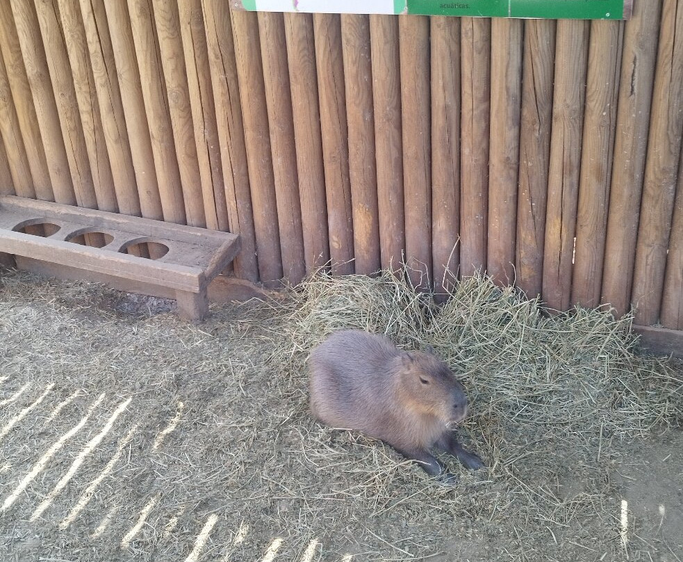Jardin del Papagayo-Benicarlo必去景点