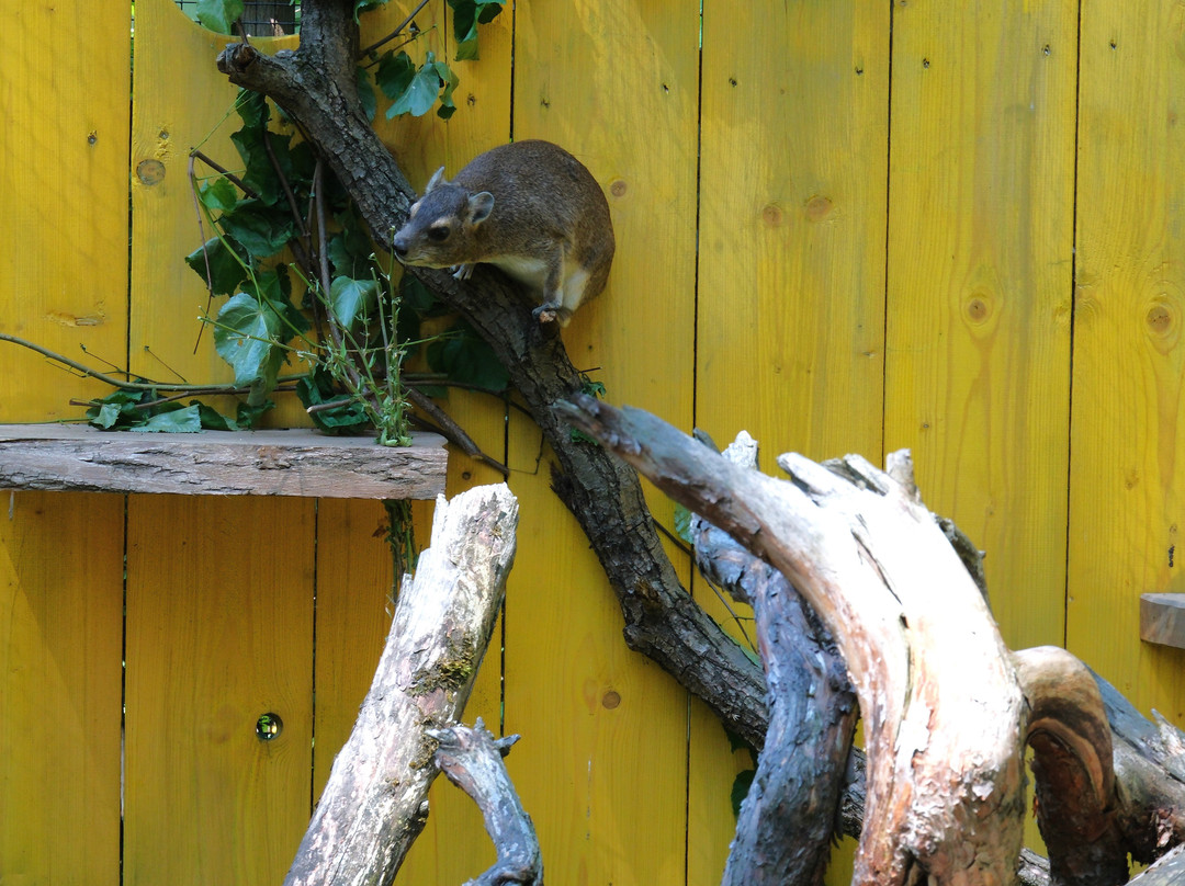 Tierpark Zittau-Zittau必去景点
