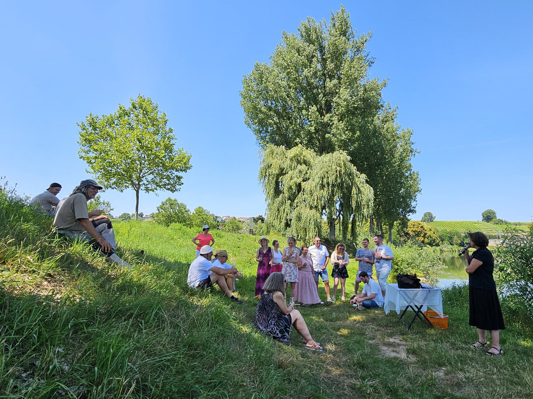 Katzenbeisser Carrus-Lauffen am Neckar必去景点