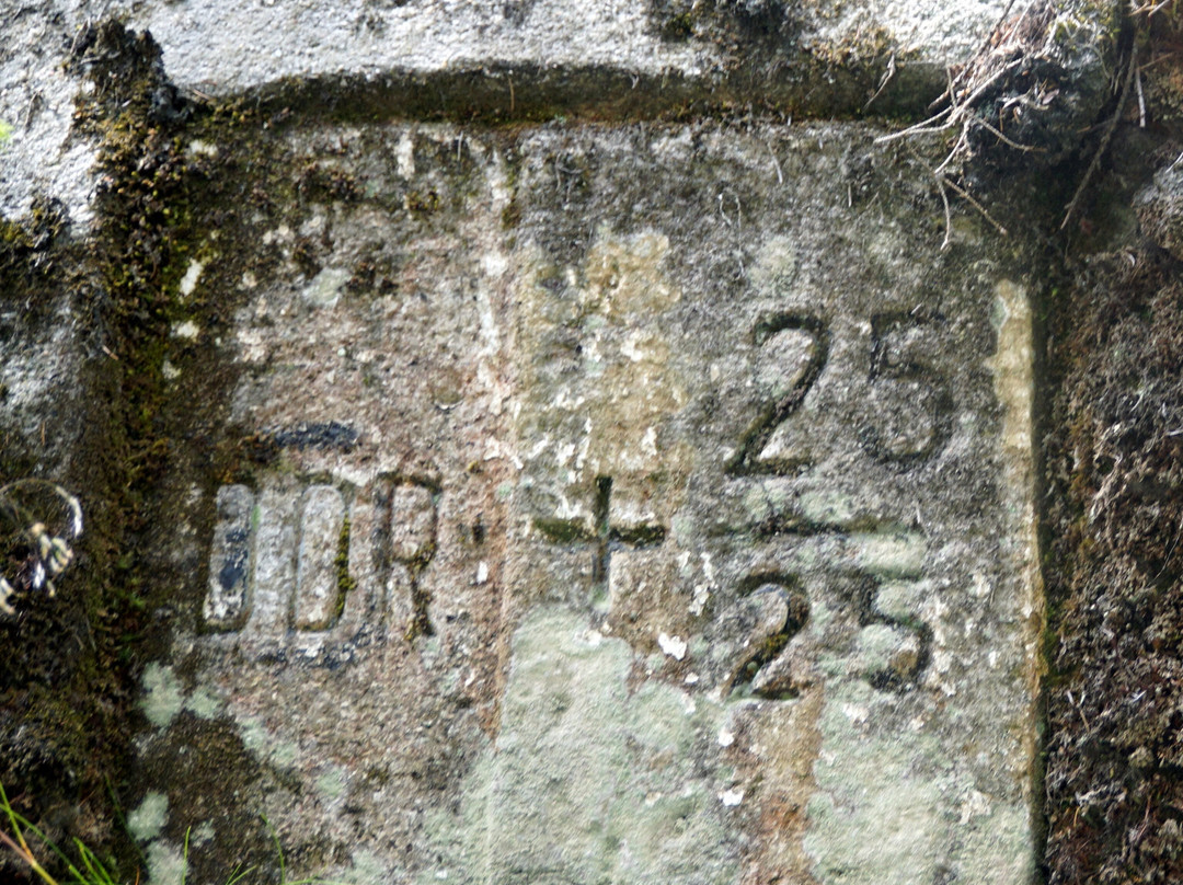 Obere Schleuse Kirnitschklamm-Hinterhermsdorf必去景点