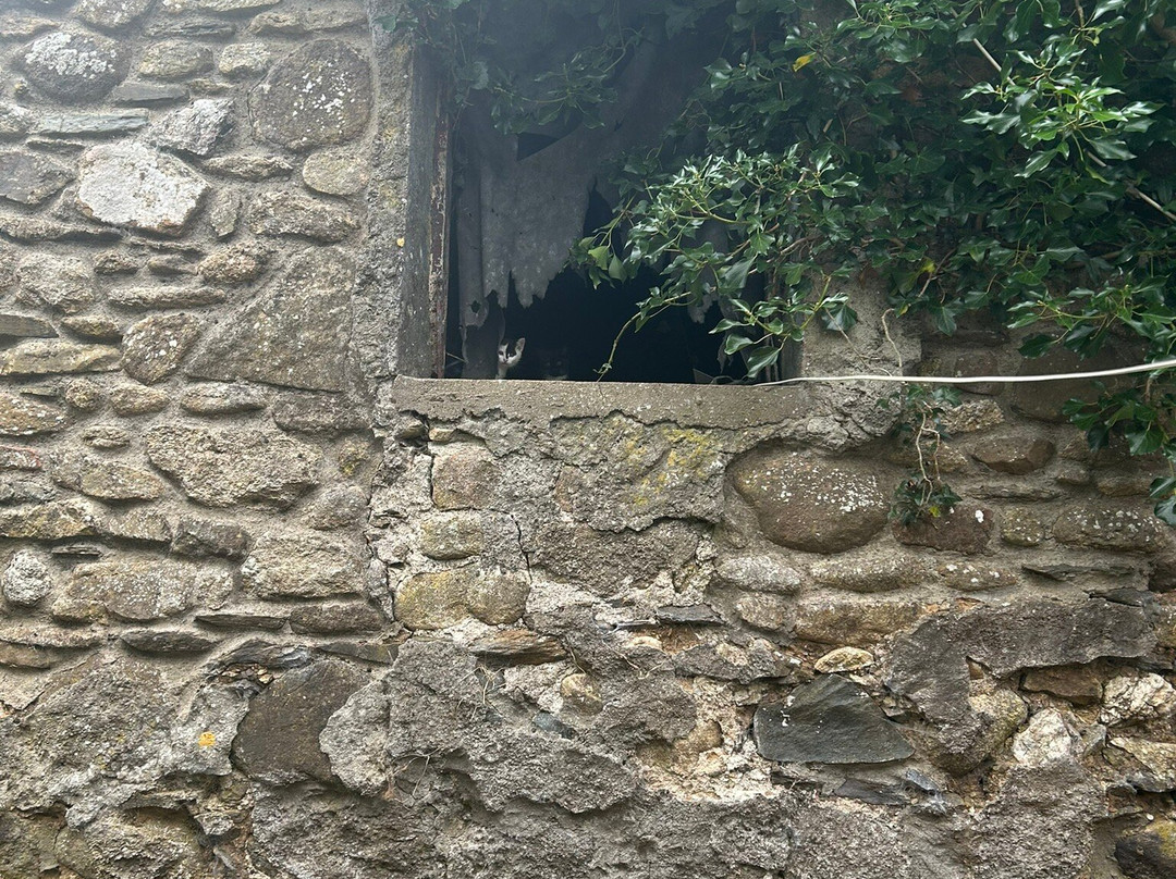 Secret Valley Wildlife Park-韦克斯福德必去景点