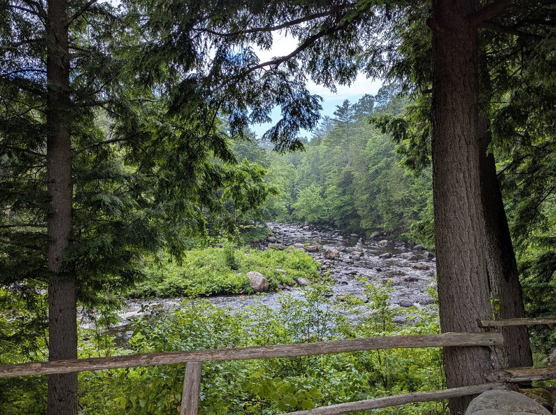 Natural Stone Bridge and Caves-Pottersville必去景点