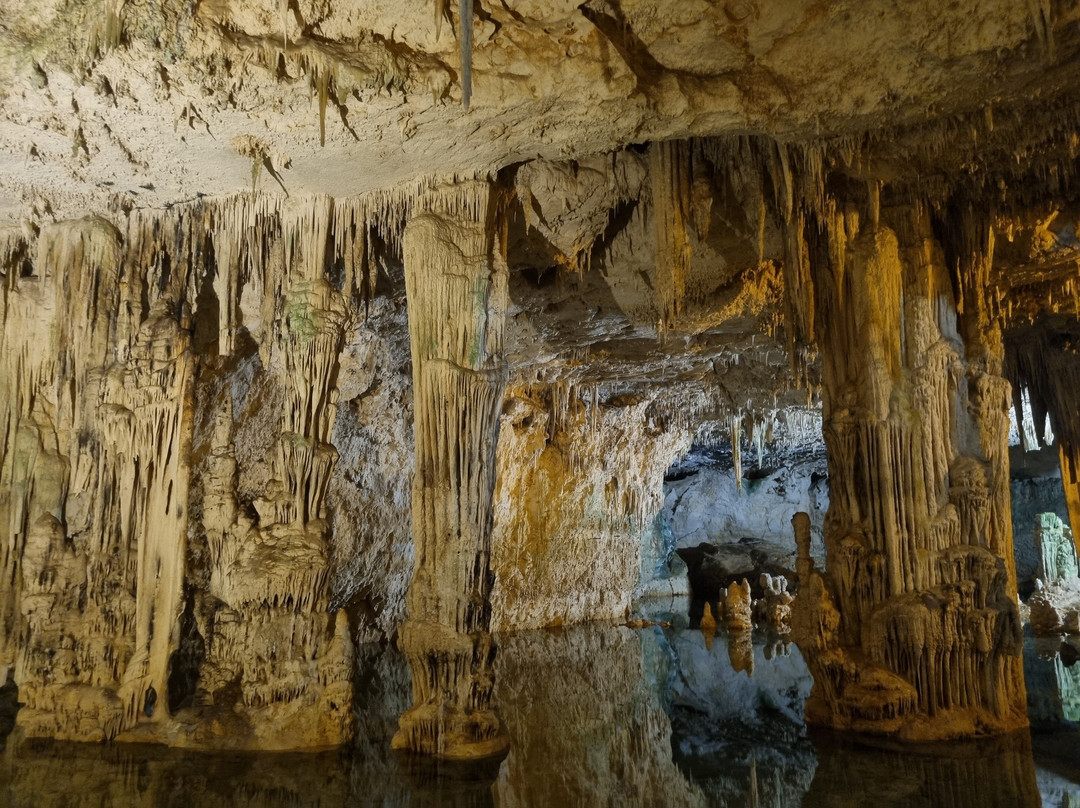 Navisarda - Linea Grotte di Nettuno-阿尔盖罗必去景点