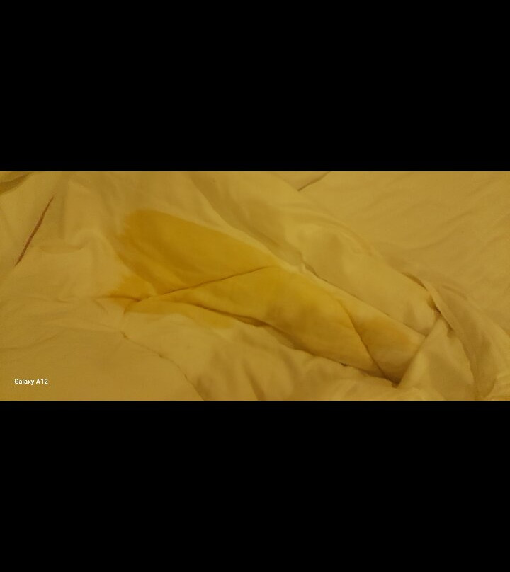 Dar Ba Sidi & Spa主图