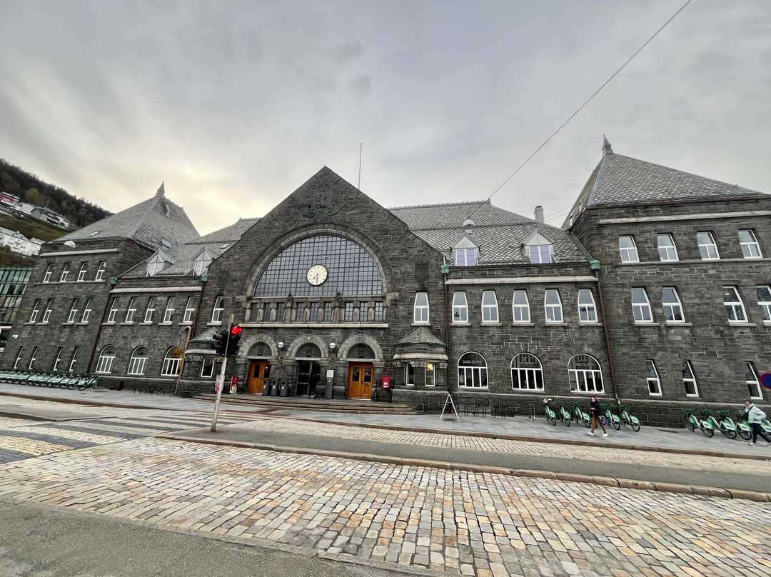 Bergen to Oslo Train Ride-卑尔根必去景点