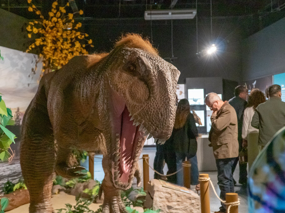 Caracol-恩塞纳达必去景点