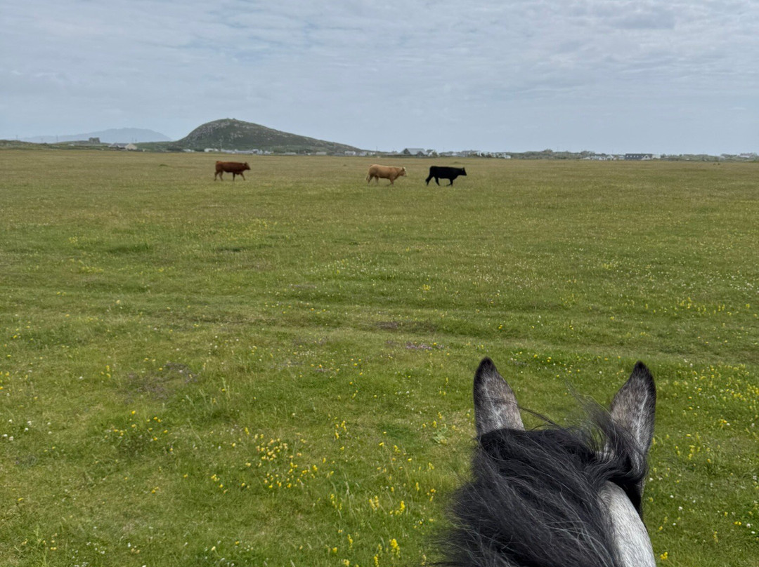 Connemara Equestrian Escapes-Moycullen必去景点