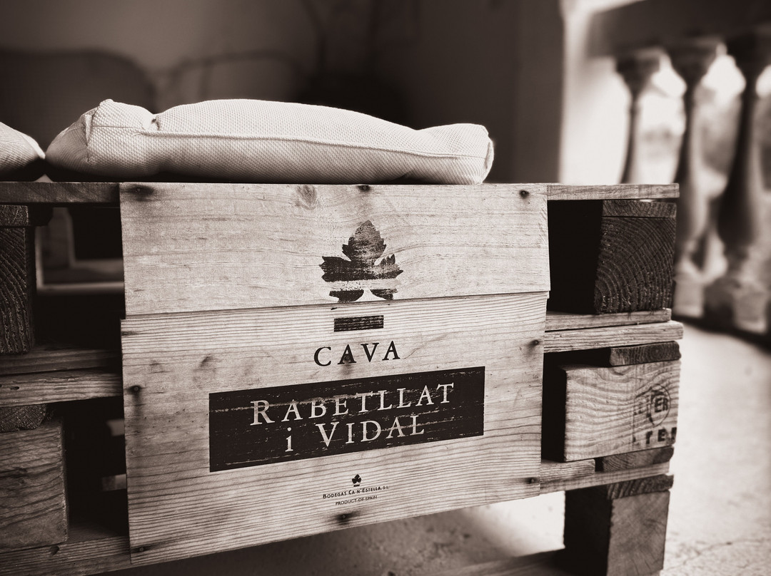 Finca Ca n'Estella-Sant Esteve Sesrovires必去景点