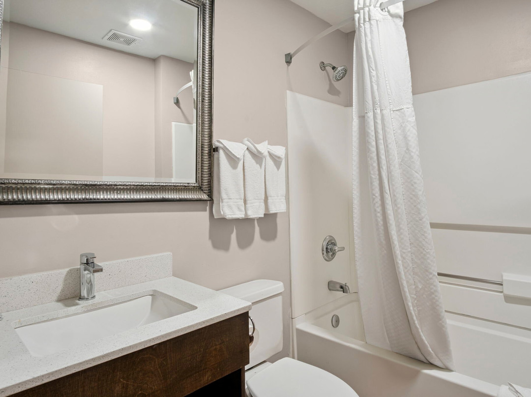 Sonesta Essential Hotel & Suites Kansas City/Blue Springs主图