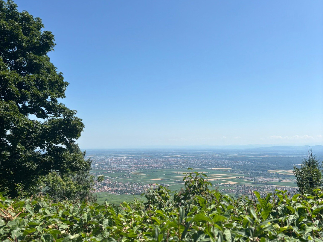 Les Trois-Chateaux du Haut-Eguisheim-艾古斯汉必去景点