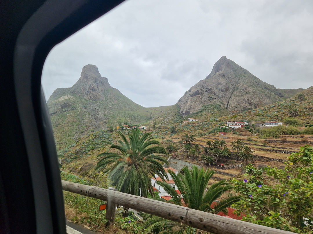 Gregorios Wanderfamily-圣克鲁斯-德特内里费必去景点