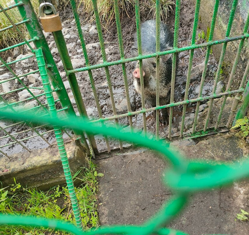 Zoologico de San Martin-巴尼奥斯必去景点