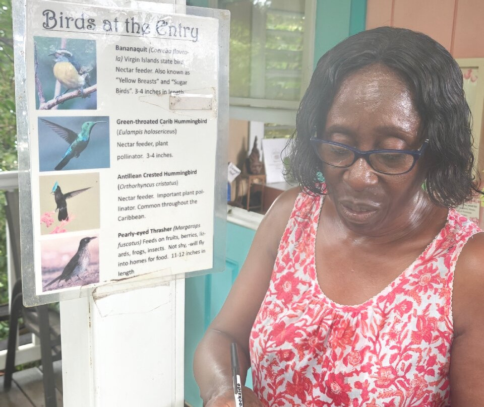 Phantasea Tropical Botanical Garden-圣 托马斯必去景点