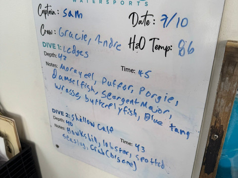 Low Key Watersports-克鲁兹湾必去景点