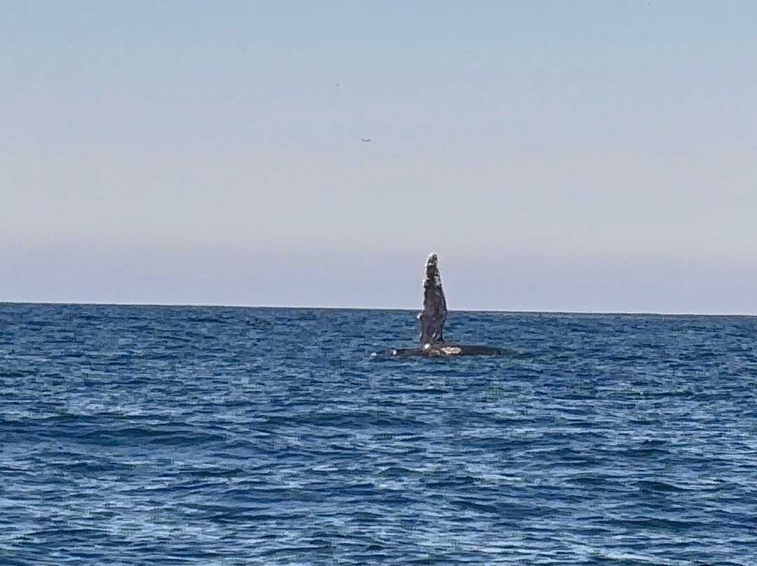Maremar Turismo-伊利亚贝拉必去景点