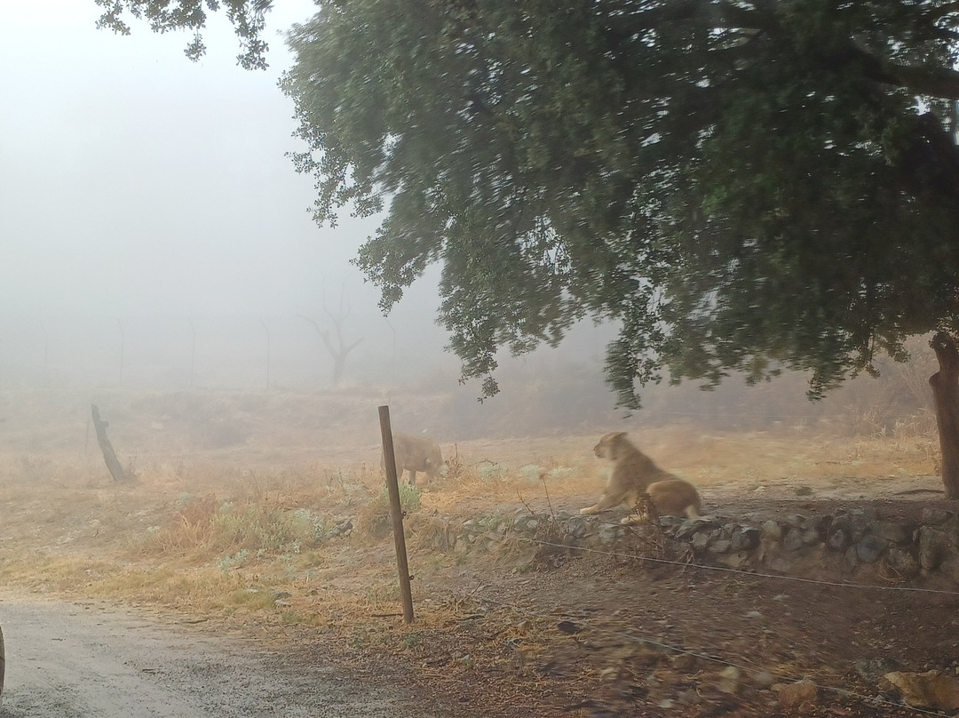 Safari Aitana-Penaguila必去景点