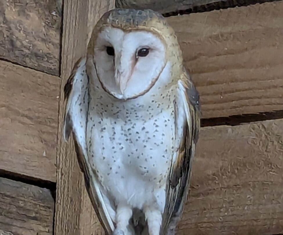 Oklahoma City Zoo and Botanical Garden-俄克拉何马城必去景点