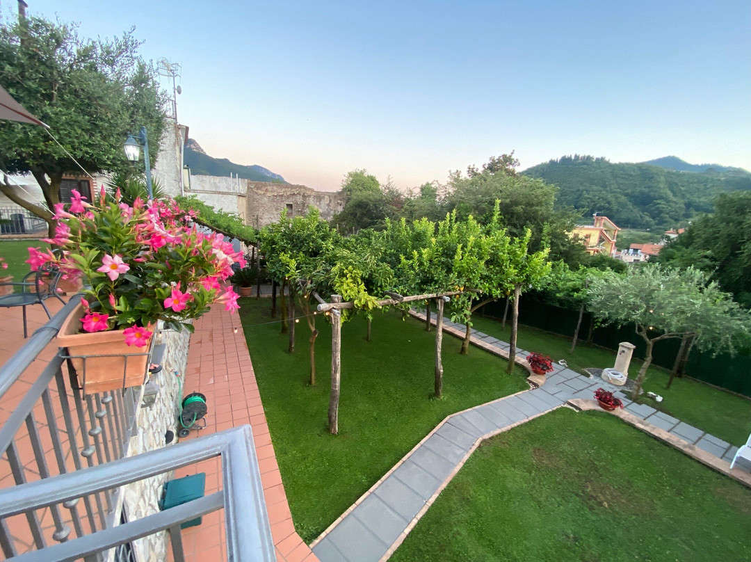 Farfalle E Gabbiani主图