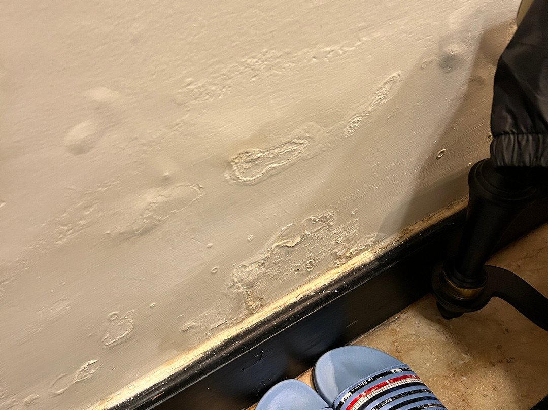 Taj Hari Mahal, Jodhpur主图