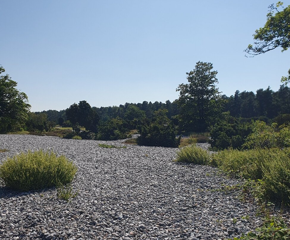 Feuersteinfelder Wanderweg-奥茨巴德宾兹必去景点