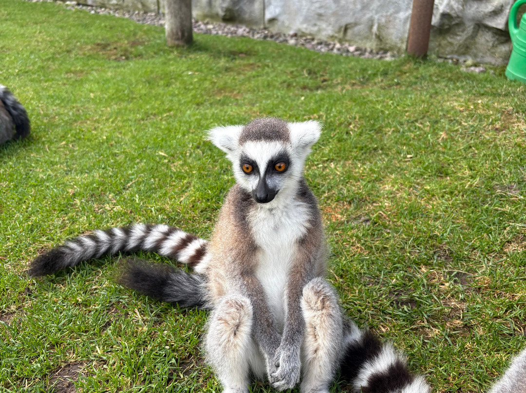 Ölands Djur & Nöjespark-Färjestaden必去景点