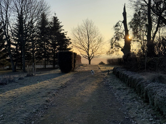 Palac Nakomiady主图